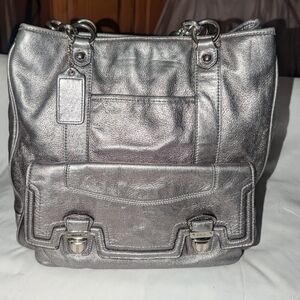 Coach Camelia Poppy Vintage Metallic Silver North South Tote Bag. 179 24
